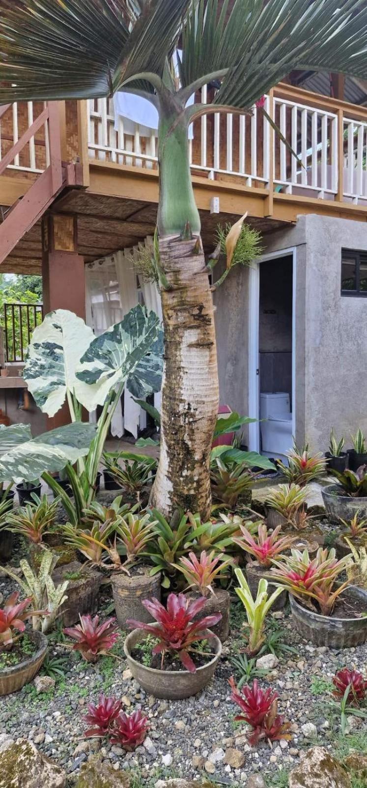 Khloe Serenity Guest House Batuan 외부 사진